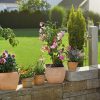 Conjunto de iniciação para vasos S 10m Gardena - Image 4