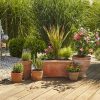 Conjunto inicial para vasos com flores M com automático Gardena c/1 Tubo de ligação 15m e 1 Tubo de alimentação 10m - Image 5