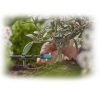 Gotejador de fim de linha ajustável 0–15 l/h GARDENA - Image 5