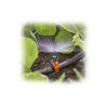 Aspersor 180° GARDENA - Image 5