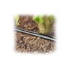 Linha de Irrigação de extensão Gota a Gota para arbustos/sebes (50m) Gardena - Image 3