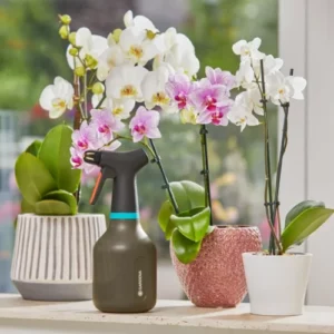 Pulverizador à pressão 0.75L