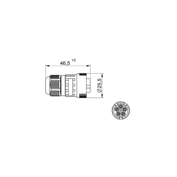 Conector de Plugue WP5/M IP68 Tekox - 802081014 - Image 2