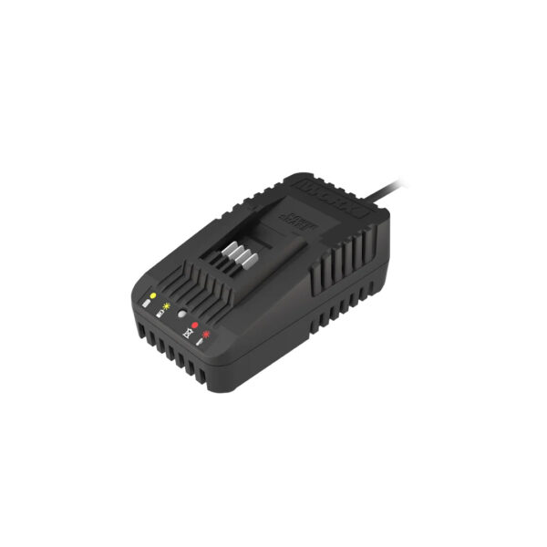 Pack batería 20V 2,0Ah + Carregador 1h Worx - Image 3