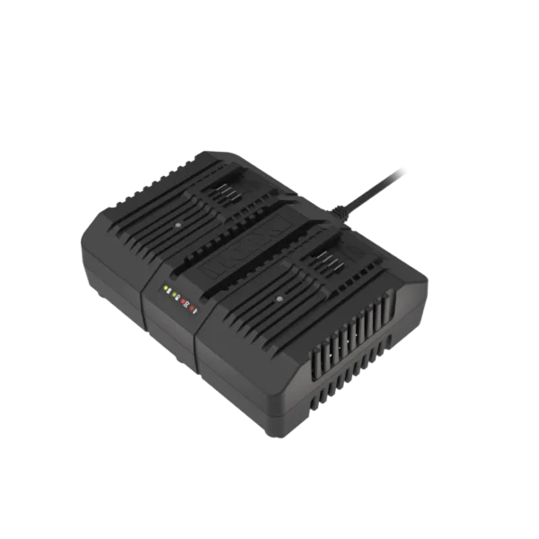 Carregador rápido de bateria de porta dupla de 20V