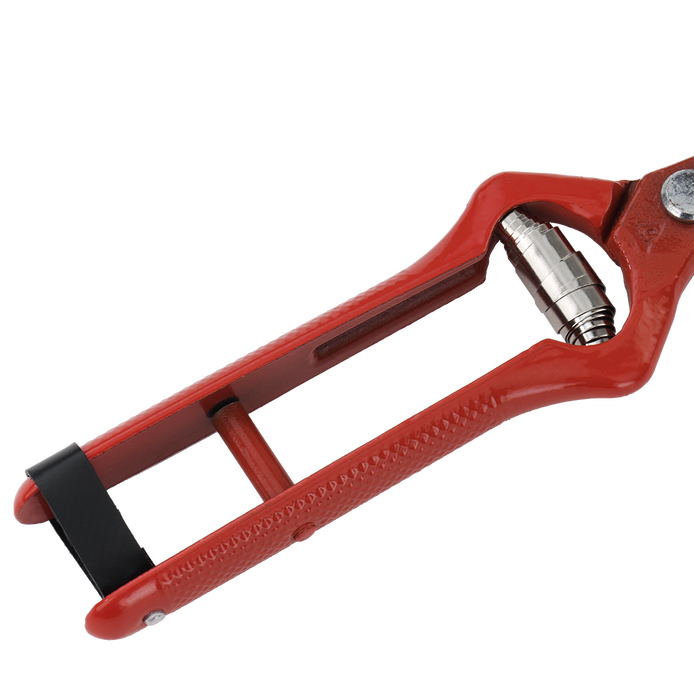 Tesoura de Colheita de Alhos Bellota Classic Forjada 192 mm - Image 4